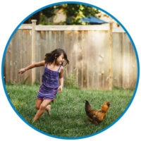 Girl Running with Chickens