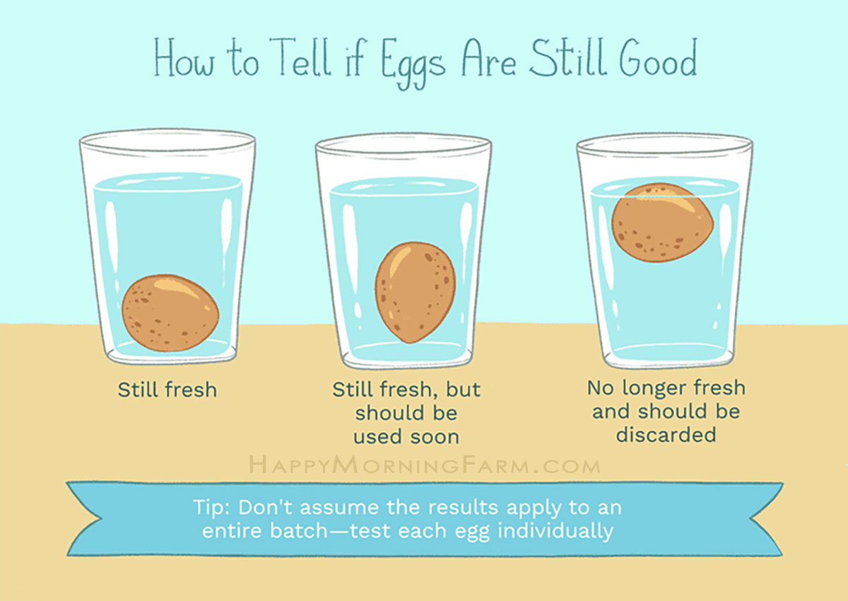 Egg Water Float Test