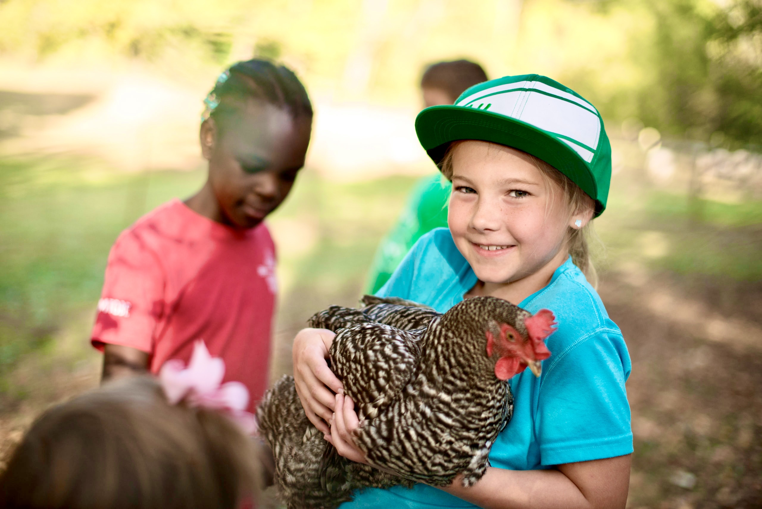 Home School Lessons with Backyard Chickens