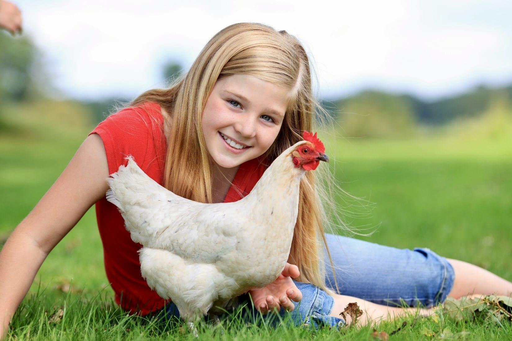 homeschooling with backyard chickens