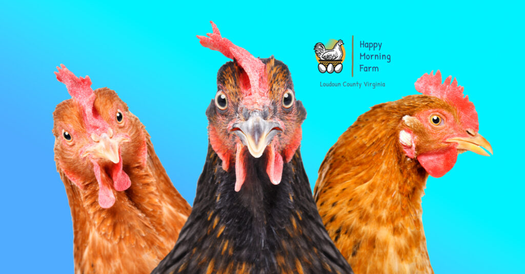 Using Lime & DE 101 Everything You Need to Know to Be Safe